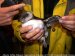 Atlantic Puffin, 1cy, Denmark 24th of July 2002 Photo: Kenneth Rude Nielsen