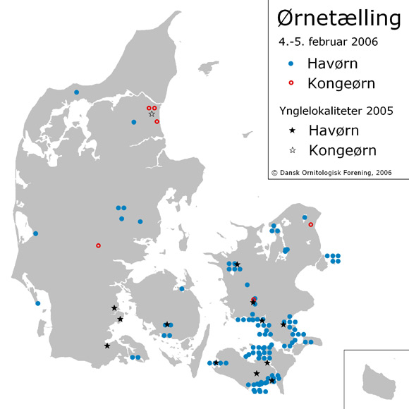 Optællingen 4.-5. februar 2006 gav 105 Havørne og 6 Kongeørne