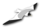 Netfugl.dk's logo - Sabinemåge