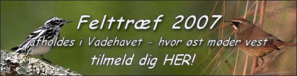 Felttræf 2007 afholdes i Vadehavet – tilmeld dig her!