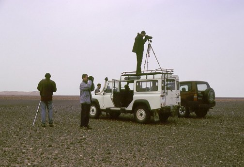 Near the Algerian border in search for Houbara Bustard