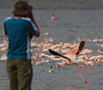 Greater Flamingo, Fotografen og Flamingoerne., Kenya 26th of June 2011 Photo: Hans Henrik Larsen
