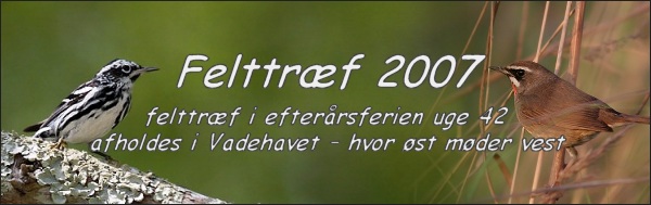Felttrf 2007